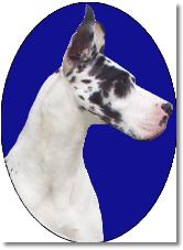 Connieheadmural1