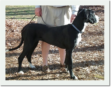 EmDubpupSam6mo