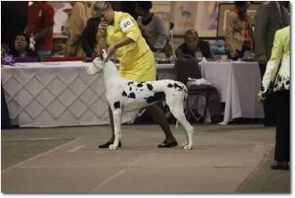 Liah69pupnationals
