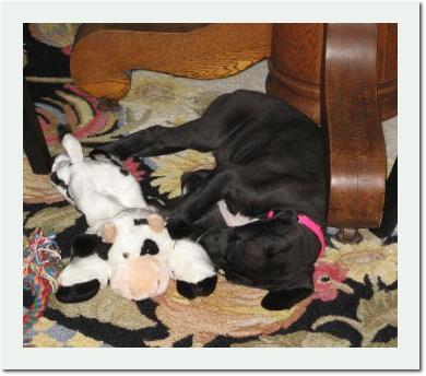 Lulu2months