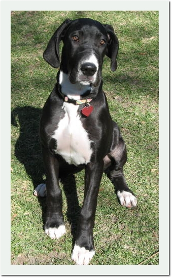 Lulu4months