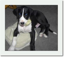 Rocky9weeks