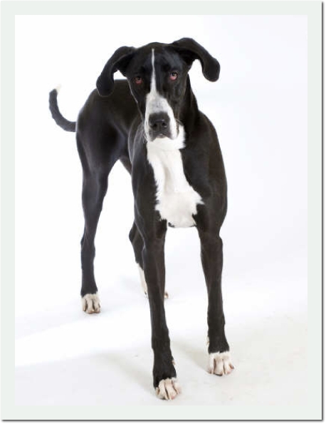 Sam15mos0011
