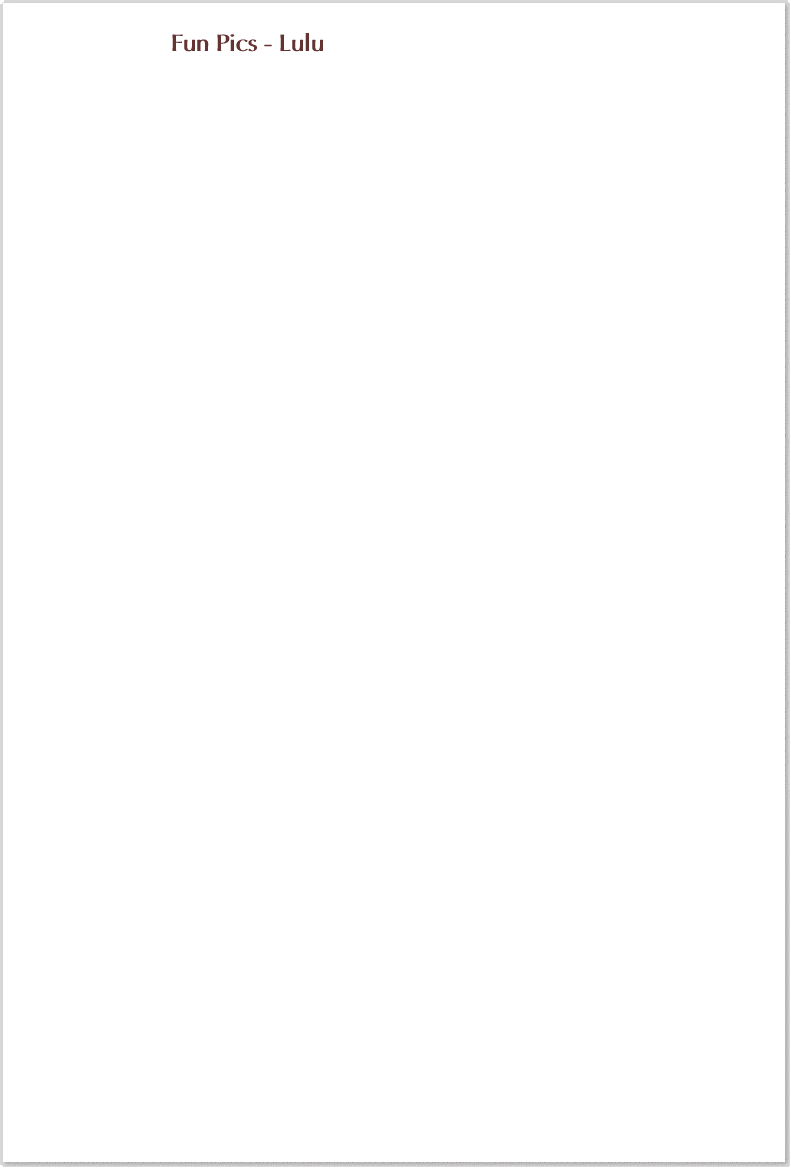 SaravillaHeader1