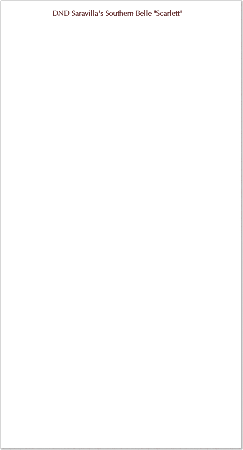 SaravillaHeader1
