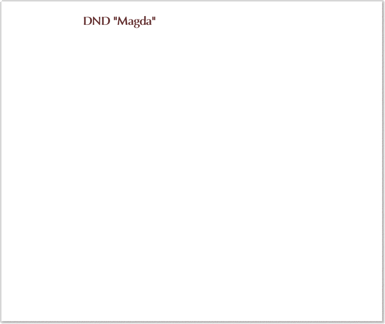 SaravillaHeader1