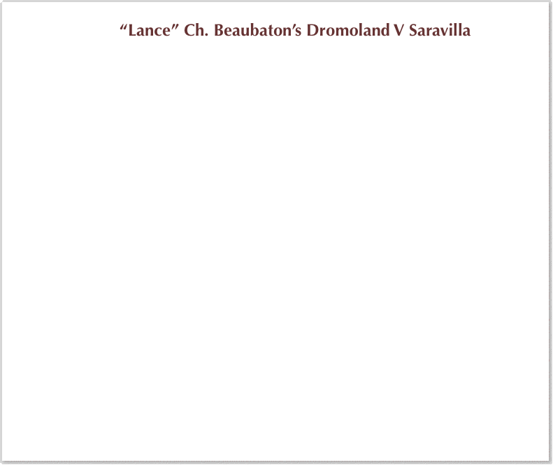 SaravillaHeader1