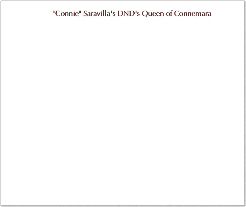 SaravillaHeader1
