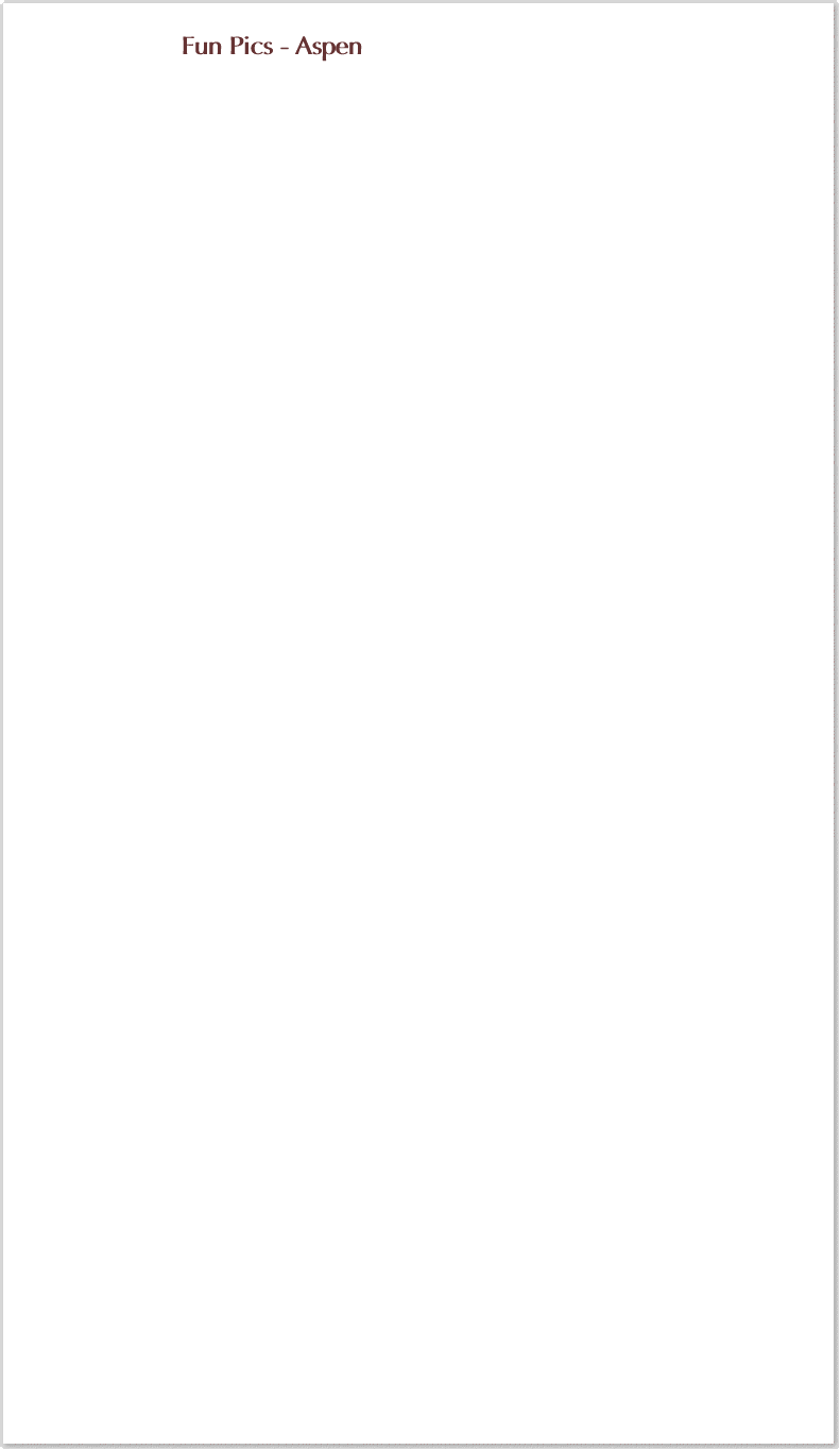 SaravillaHeader1