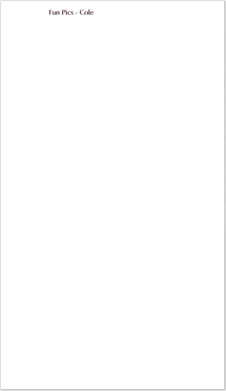 SaravillaHeader1