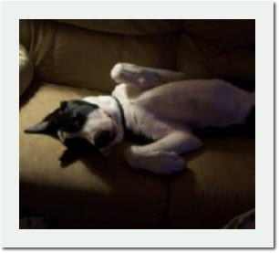 Tate6mo
