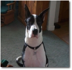 Tate7mo